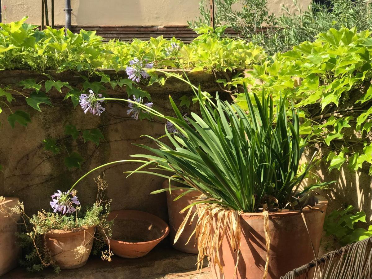 Sant Jordi Desvalls Casa Migdia B&B 외부 사진